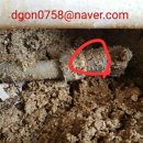 노가니길 이미지