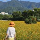 구례군청소년수련원 이미지