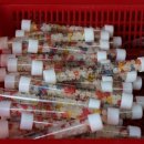 신상도초등학교 이미지