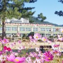 왕미초등학교 이미지