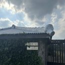 제주도 푸른밤 | 제주도 푸른밤(feat. 고등어국) 2