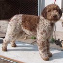 흙으로의 여행 이미지