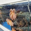 어촌해물탕 이미지