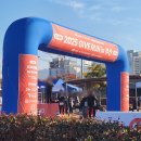 삼락생태공원 | 부산 삼락생태공원 기브런 마라톤 참가 후기