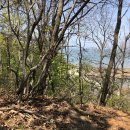 카라반공인중개사사무소 이미지