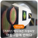 백두대간 자생씨앗 아름다움에 반하다 | 대전역 전시 &#39;백두대간 자생씨앗 아름다움에 반하다&#39; (~5.20) + 시민건강증진실 오픈 소식