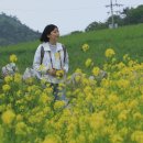 섬티아고 민박 이미지