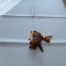 선샤인 동물병원 | [강아지매트] 디팡 미끄럼방지 방수애견매트 내돈내산 구매후기(모닝선샤인)