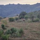 라두라다 이미지