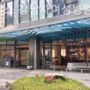 강남-156 이미지