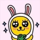 웨이속눈썹