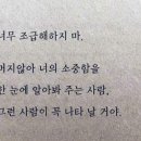 사랑참..디셈버 이미지