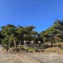 정분,정지산 정려 이미지