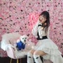 마니빌펜션 | 강화도애견펜션 마니빌독채풀빌라