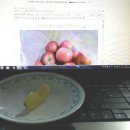 마우농장 이미지