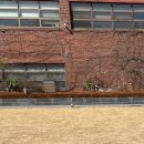 서림약국 이미지