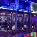 짱게임장 이미지