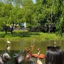 순천만국가정원 동문매점 이미지