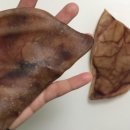 은하수 펫푸드 이미지