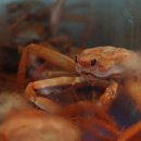 바다수산 이미지