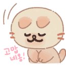 늘보레 이미지