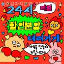 광주강아지분양 고양이분양 24시 데려가개본점 | 광주강아지분양 광주강아지분양 고양이분양 24시 데려가개본점 안전하고 검증된 곳