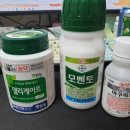 제라진 팩토리 | 재주는 프로개가 구르고 마법비약은 내가 먹은 아름다운 날...
