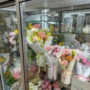 마로가든 이미지