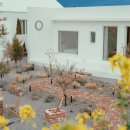 프롬나드제주 이미지