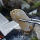 항구횟집 이미지