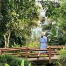 감귤박물관 위 이미지