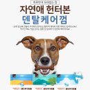 마루덴탈 이미지