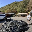 이안 힐링랜드 이미지