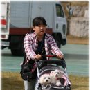 매니아클럽 이미지