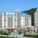 아일랜드 이미지