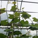 순겸농장 이미지