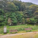 장미장여관 이미지