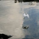 선소바다 이미지