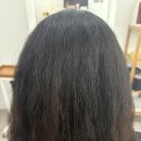 솜씨헤어 - 시흥시 | 악성곱슬도 가능했던 테슬컷, 솜씨헤어에서 인생 머리 찾은 후기 ✨