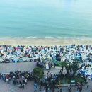 테라스타 이미지