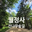 부안도깨비(14회차) | 오대산 월정사 전나무숲길 방문후기 (국립조선왕조실록박물관까지)