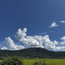 악양 평사리길 이미지