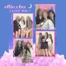 소노플라워 이미지
