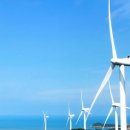 진도이어라 이미지