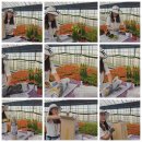 호림농장 이미지