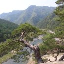 ‘세상에서 가장 좋은 재산’은 한적閑寂이다. 이미지