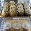 모모의다락방2 이미지