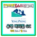 평창스크린골프 | 골프존 스크린골프 좁은맵 짧은맵 재미있는맵 용평버치힐cc
