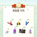 데이블룸