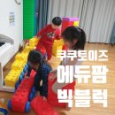 쿠쿠토이즈 에듀팜 빅블럭 구입후기